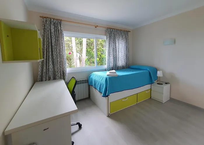 Balcon Del Teide 拉奥罗塔瓦